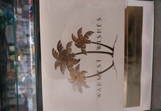 Palm Tree Holiday Cards